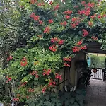 Eva's Homestay szállás